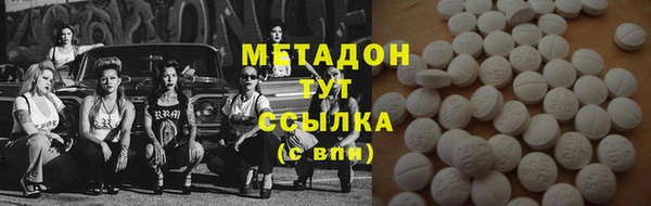 стаф Алзамай