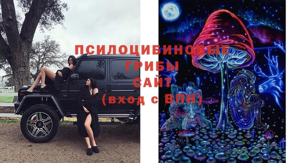 молекула духа Аркадак