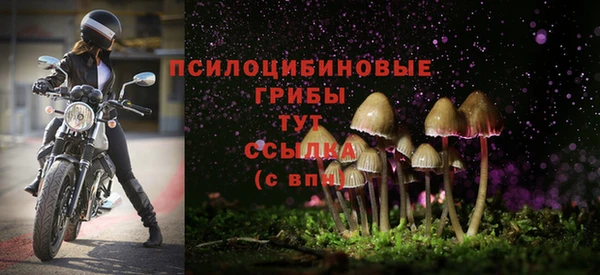 молекула духа Аркадак