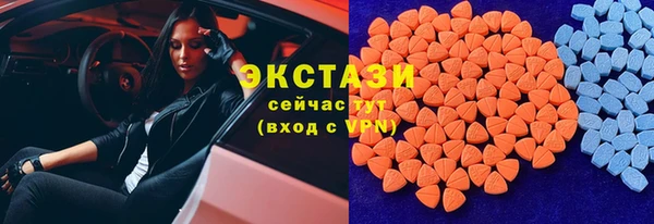 стаф Алзамай